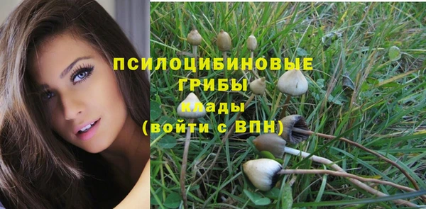 MDMA Михайловск