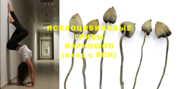 амф Михайловка