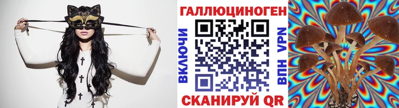 Галлюциногенные грибы Psilocybe  где купить наркоту  Грозный 