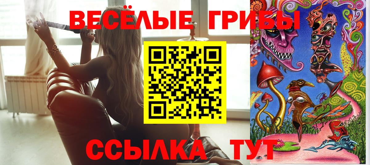 Псилоцибиновые грибы прущие грибы Грозный